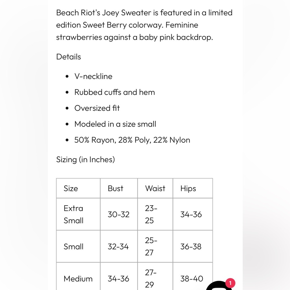 Beach Riot NWT Sz M Joey Sweet strawberries oversized sweater; so cute! - Picture 14 of 16